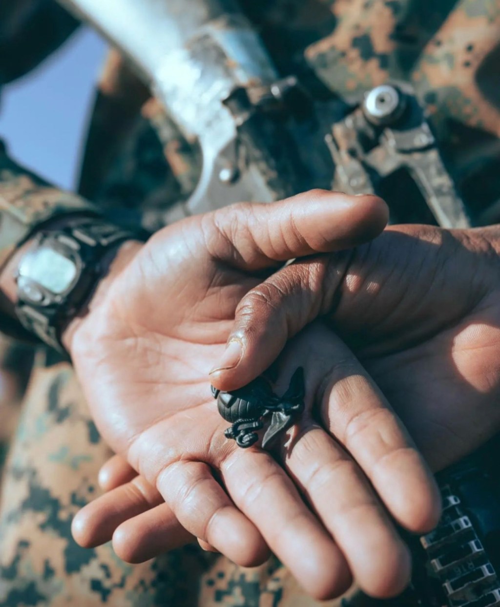 What Every Teacher Should Know When a Student is Interested in the&nbsp;Military